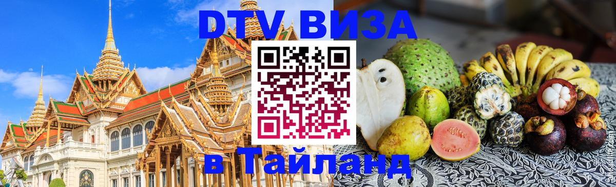 Оформление DTV визы под ключ: стоимость и тарифы, только загранпаспорт - 04.10.2025 